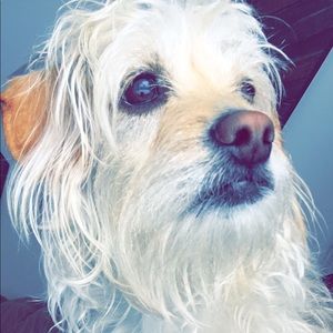 Meet your Posher, Casey